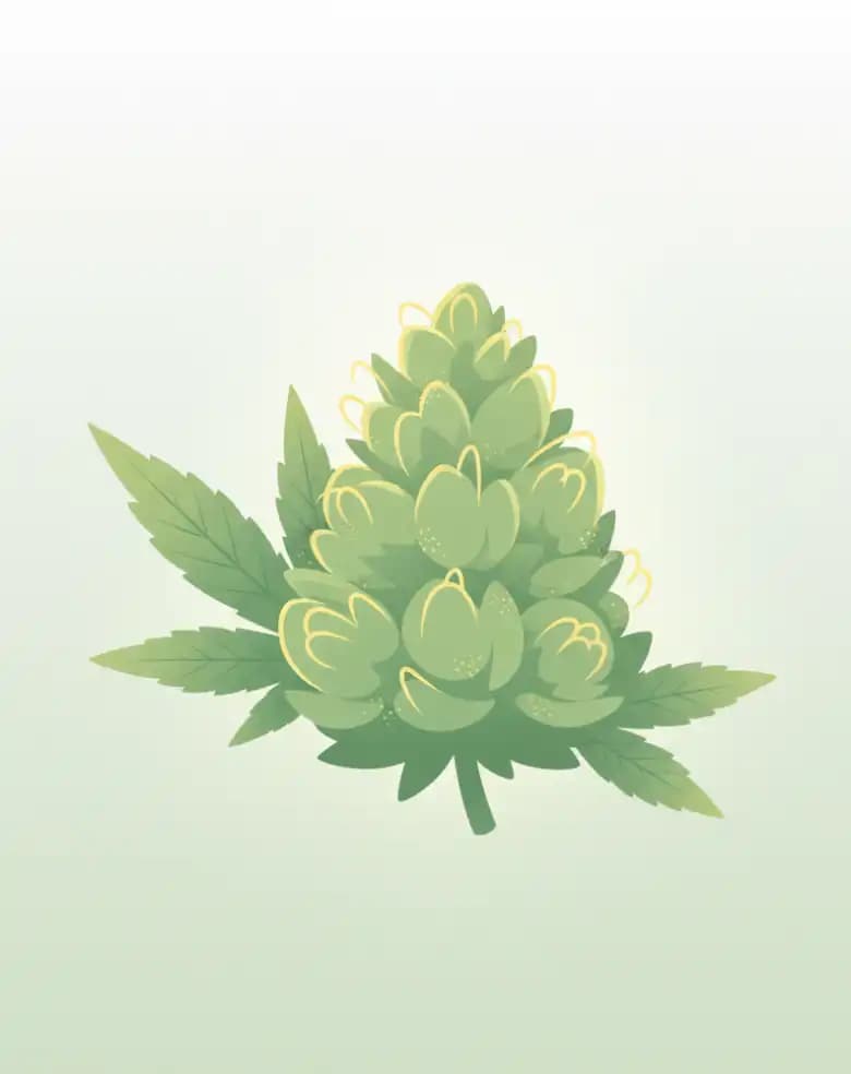 Mediflower product image